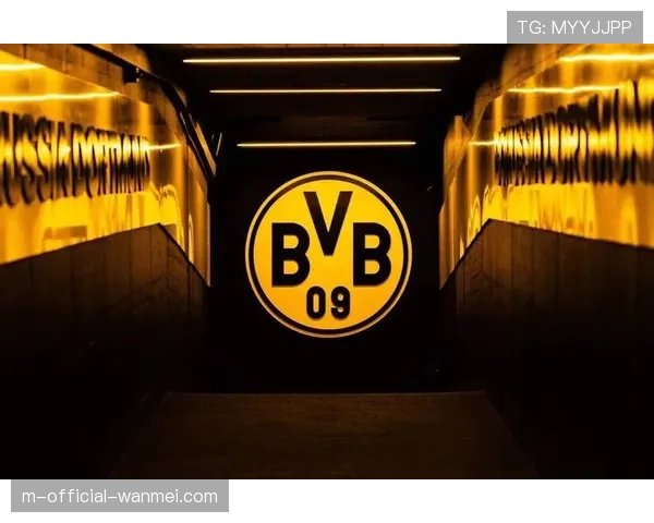 多特主场0-1不敌勒沃库森 联赛四连胜势头遭终结